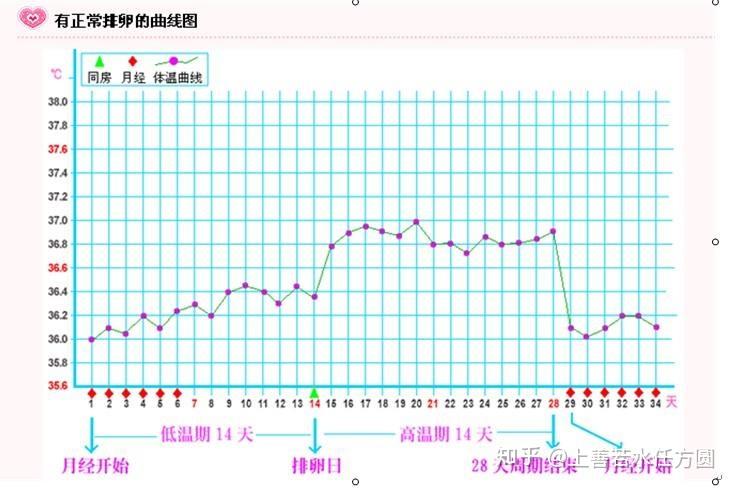 排卵迹象