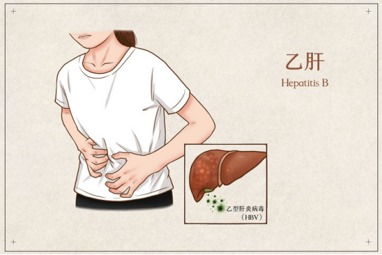 乙肝:为何有人能治愈,有人却遥遥无期?关键的一步很多人都走错了!