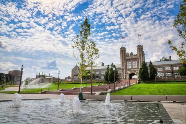 washington university in st. louis.