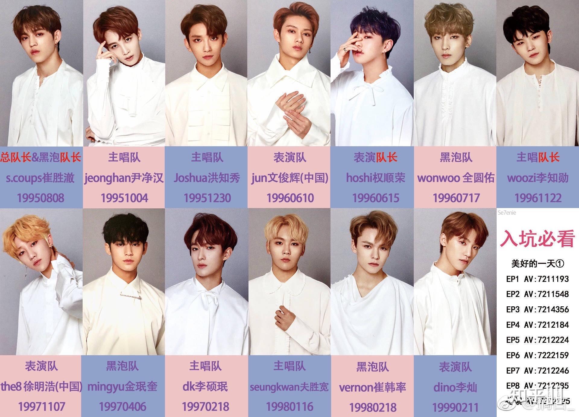 seventeen每个人的实力如何