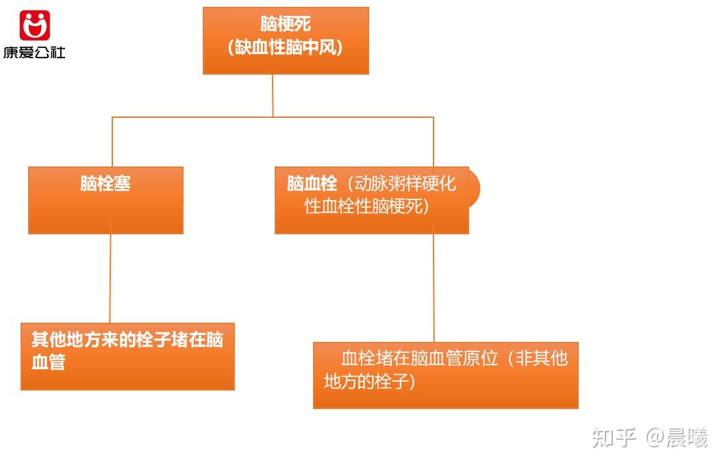 脑出血,脑梗死,脑血栓和脑栓塞:一文教你如何选择保障