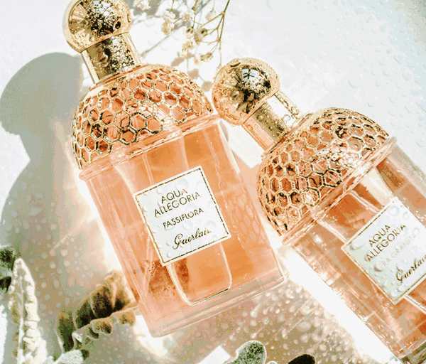 如何评价娇兰花草水语系列香水 娇兰花草水语香水真假 蜂产网