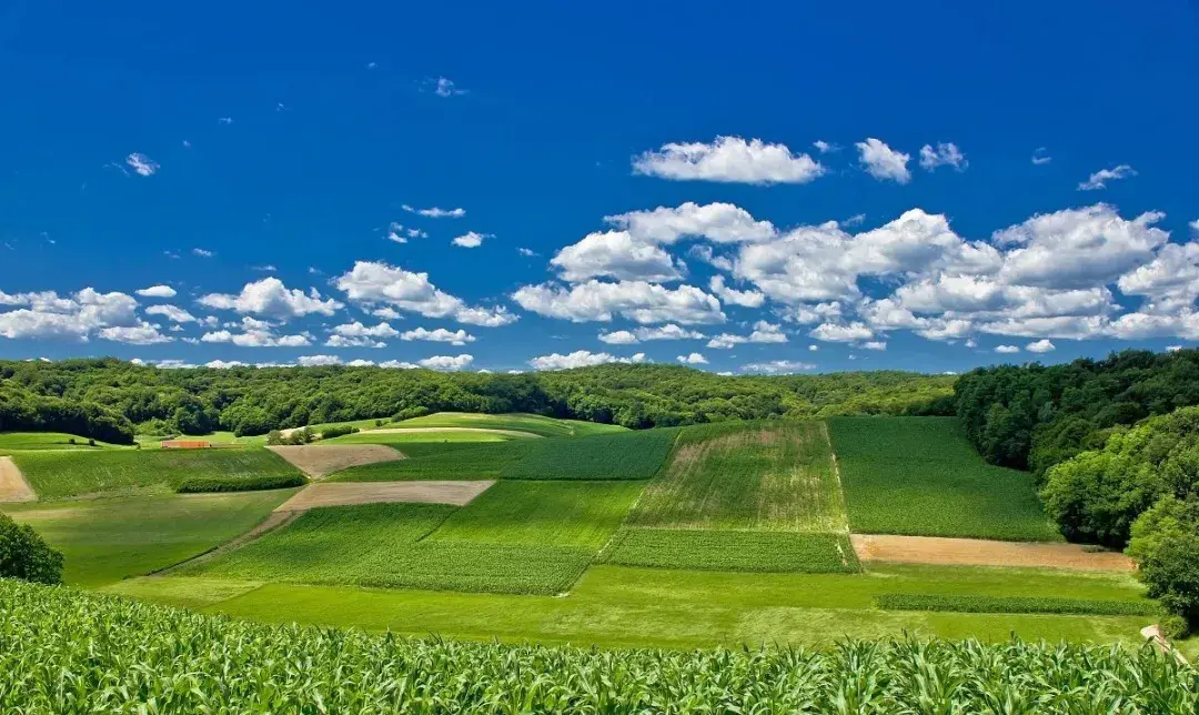 你想不想去农村开个家庭农场当职业农民方法在这里