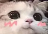 化妆水健康水_豆乳化妆水和薏仁水_欧莱雅活性健康化妆