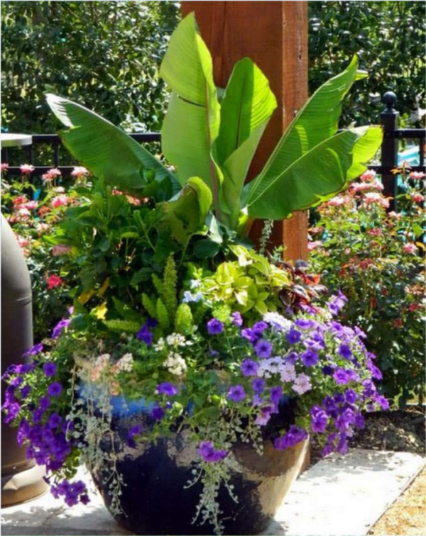 一个小窍门 可以diy 又可以提升花园的格调 知乎