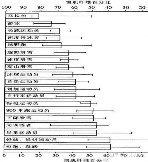 肌纤维类型与运动能力