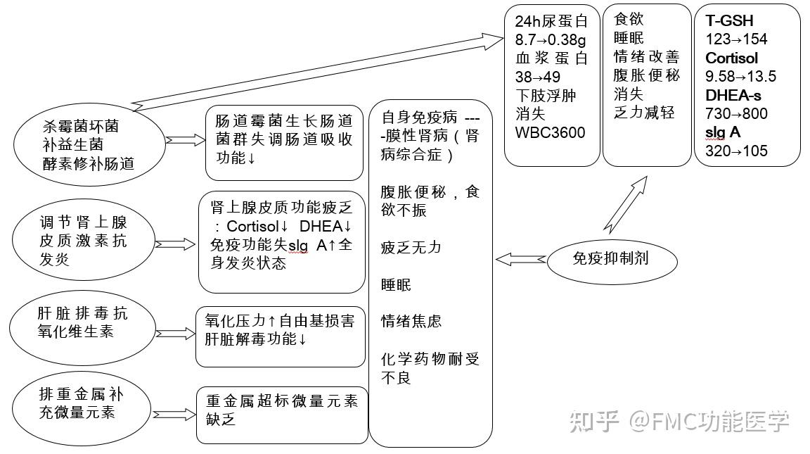 【案例分享】功能医学的诊疗思维模式解析 - 知乎