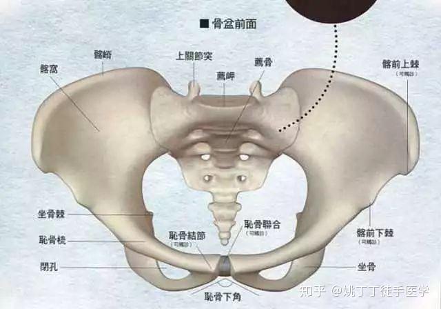 產後盆骨修復真的有需要去做嗎產後女性擦亮眼睛