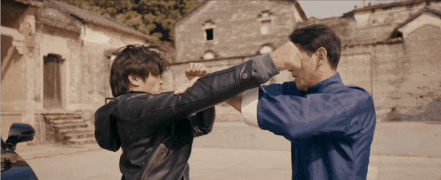当动作巨星甄子丹成为车主,极氪009拍出了最能打的一支广告