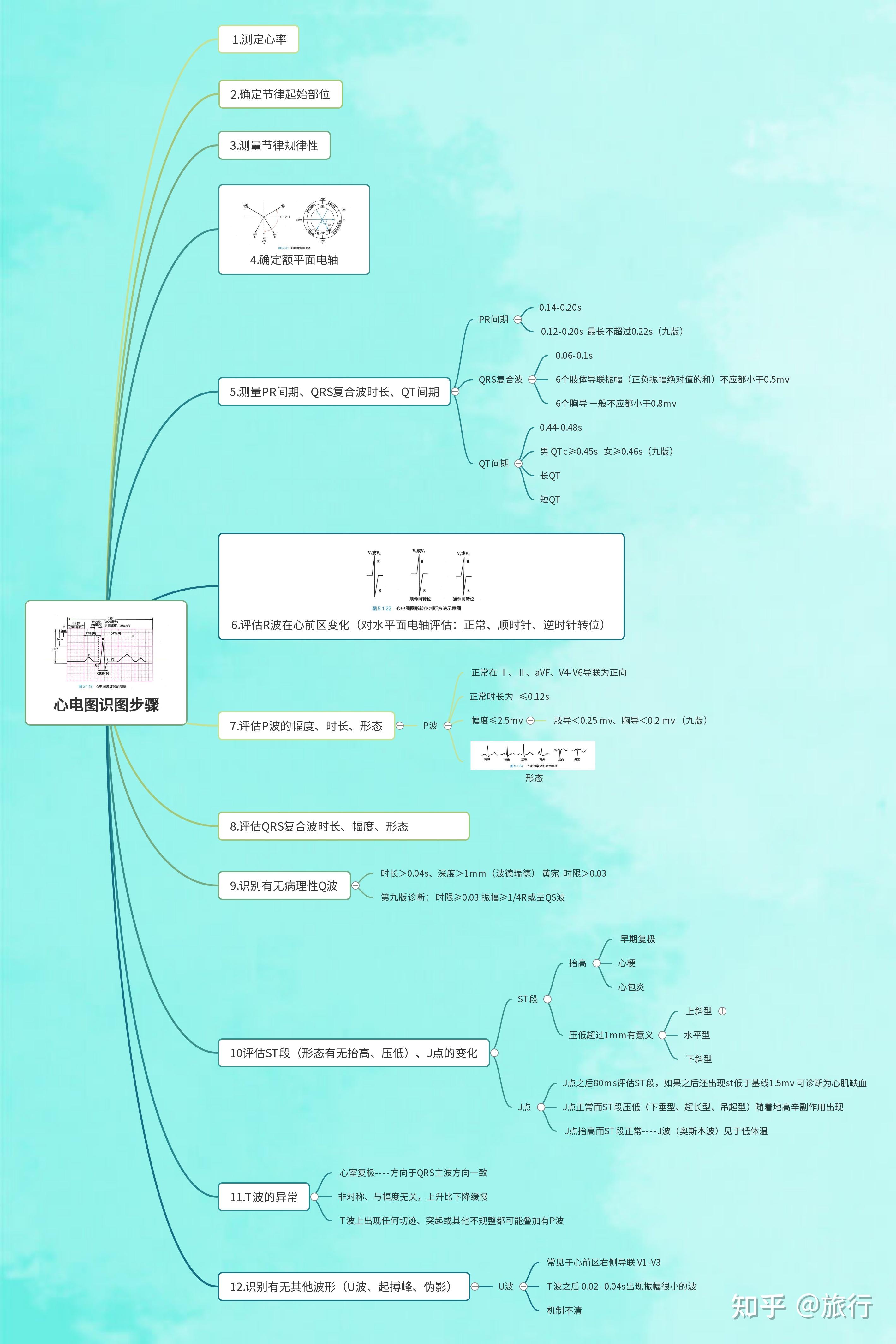 心电图识图步骤:(第九版诊断学一部分,波德瑞德为主的思维导图)