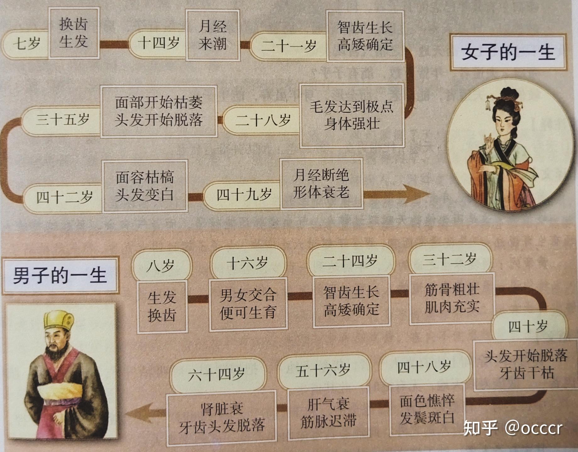 《黄帝内经-素问》上古天真论 - 知乎