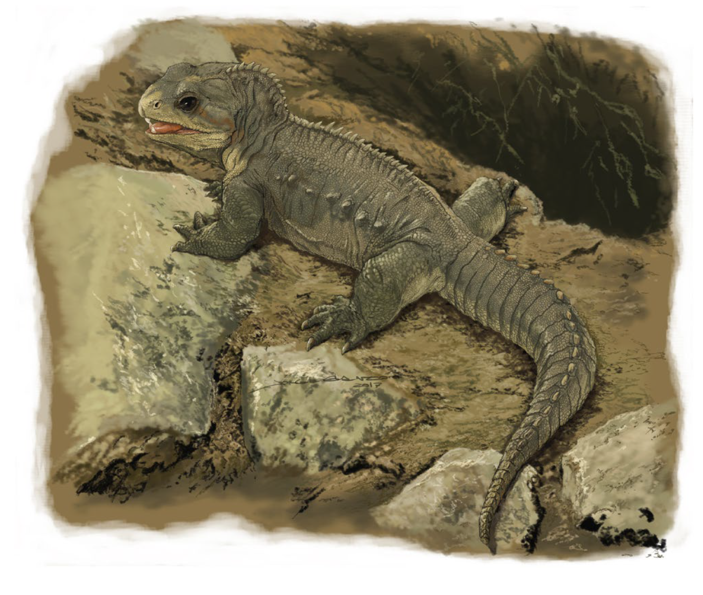 怎么说呢,鳞龙类出现很早,留下的化石资料不少,研究也很充分,但井蛙