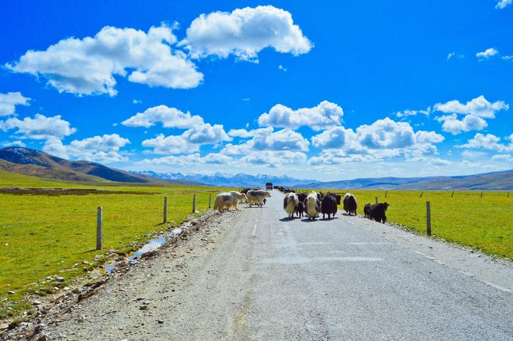 西北有哪些不可错过的旅游美景? 51 v2 54e2ac55dedf9629835d135fef0838b9 720w