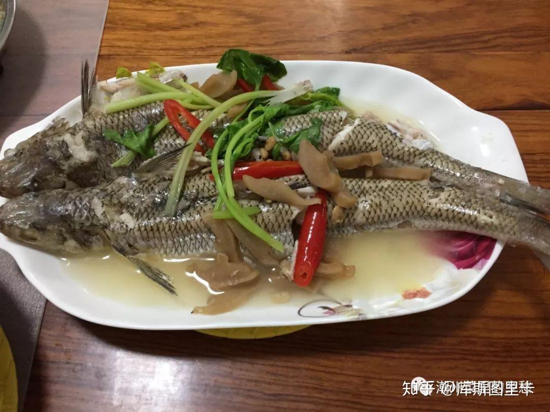 癩哥魚不是那哥魚