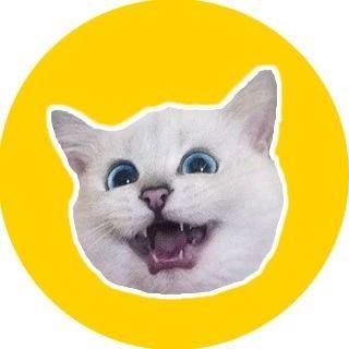 啥叫自欺欺人 v2-54ea168e9de37d6fb1d0c49fbe68c0b8_1440w.jpg?source=172ae18b