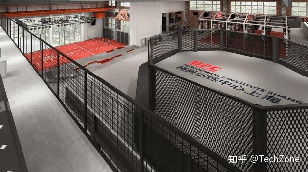 UFC冠军“母狮”成为Hyperice(海博艾斯)筋膜枪格斗大使! - 知乎
