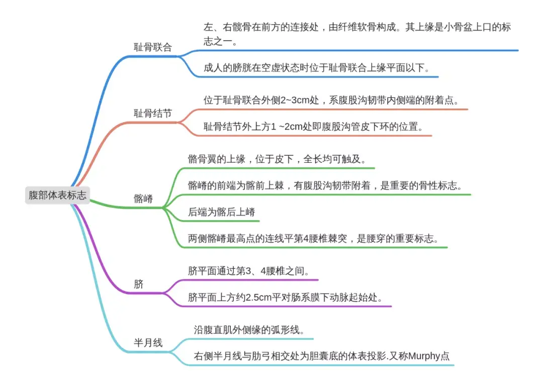 小白医学生笔记9局部解剖学打油诗思维导图