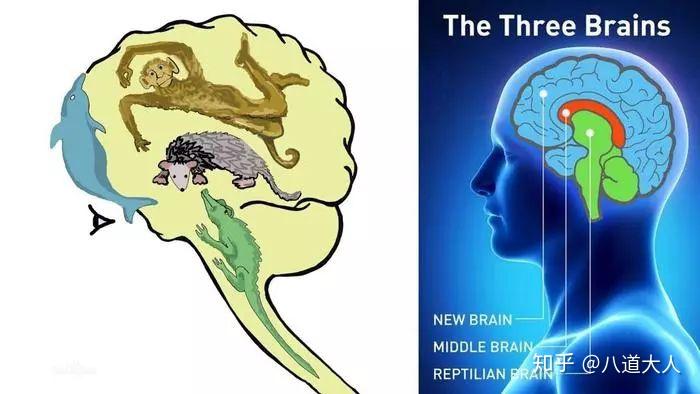 追求数量,而不是少而精?