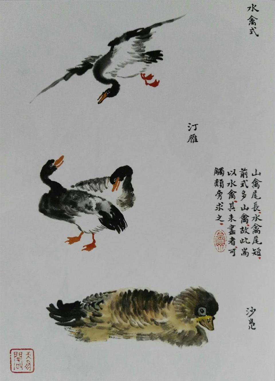 画鸟技法12个步骤分解和21种姿势,让你轻松入门 - 知乎