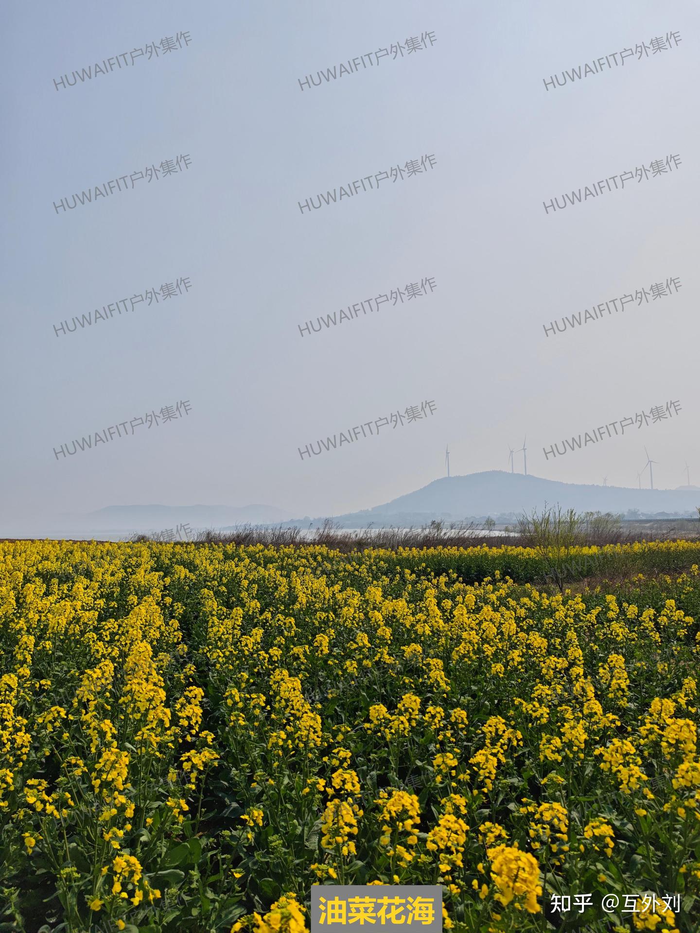 原图实探2026丨巢湖南岸黄林头露营详细攻略 - 知乎