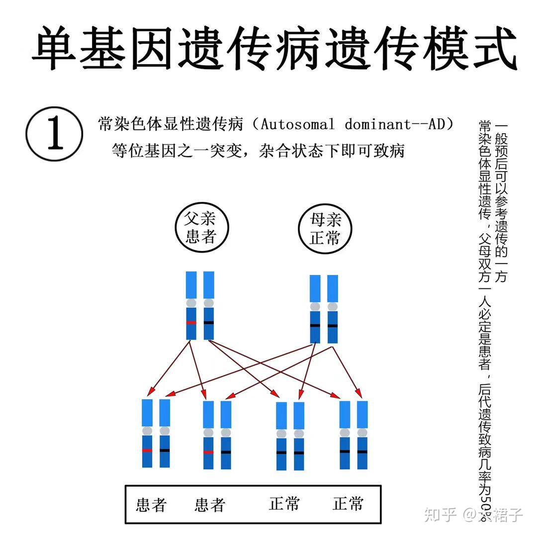 v2-553bdffa10598a4cd7945a3be969c096_r.jpg