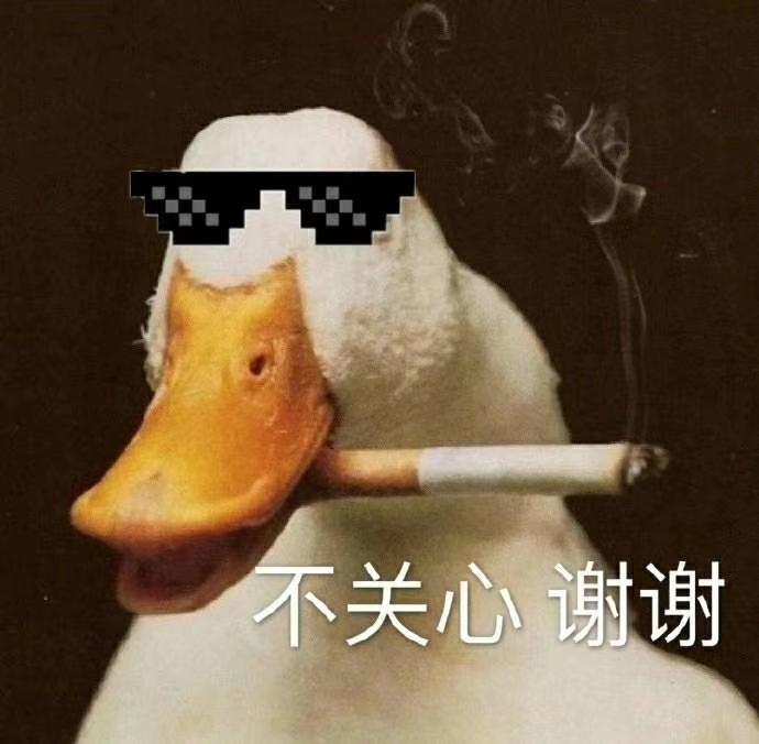 卡古拉喵喵