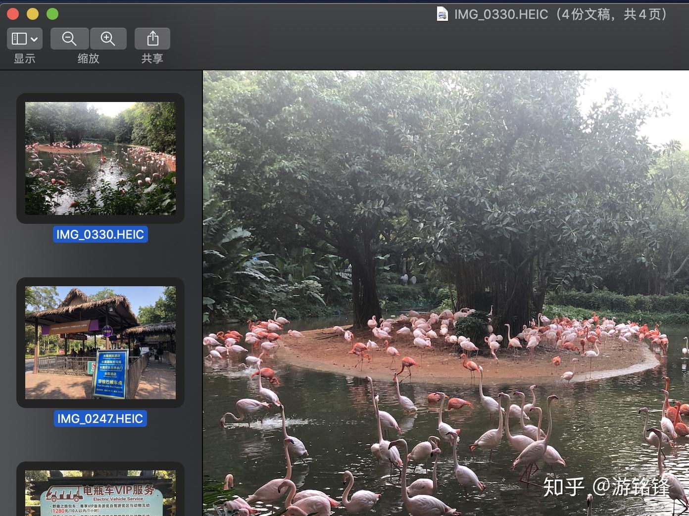 iphone相片heic格式转jpg可以批量转换