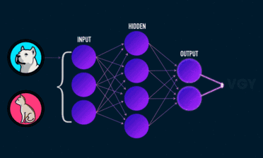xnn zhuanlan.zhihu.com