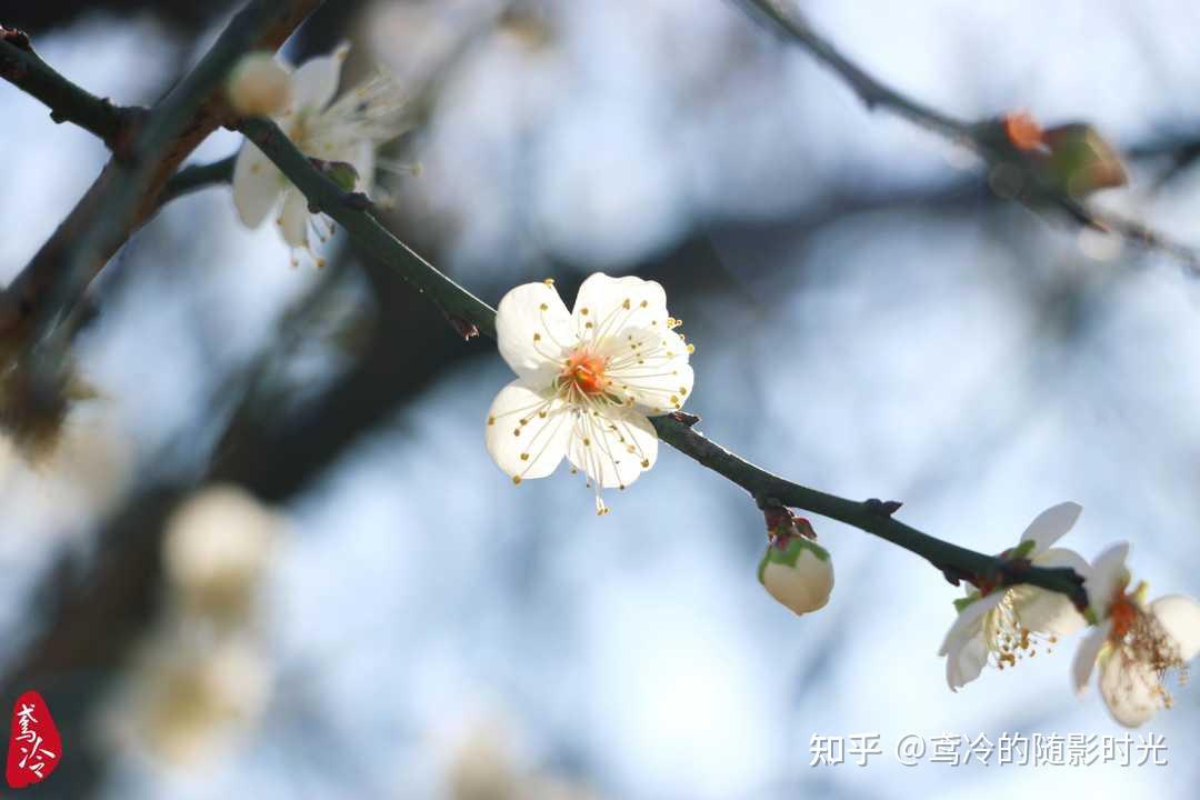 v2-55650e95557cd02a4ce400d8dc3b62b5_r.jpg