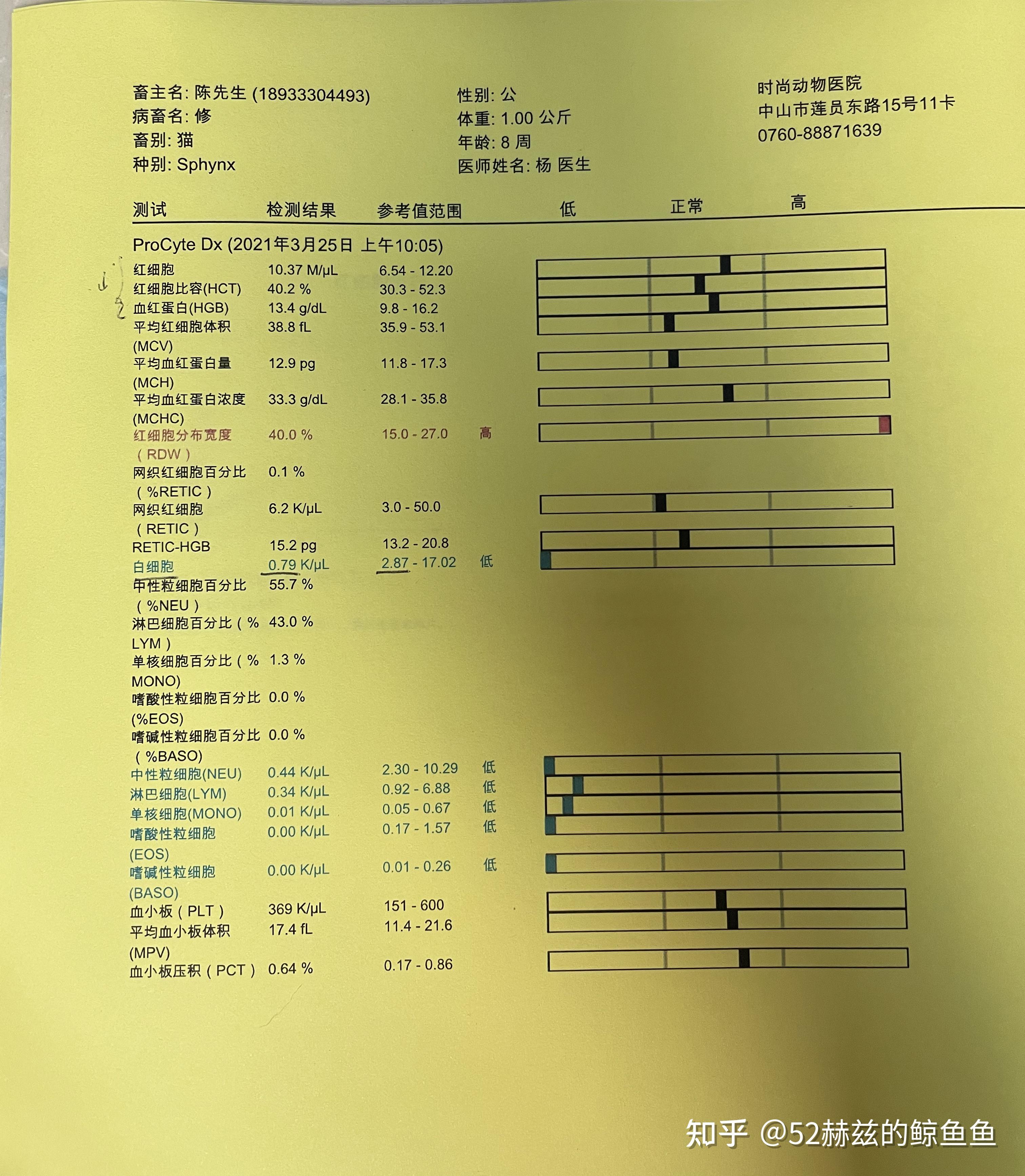猫瘟治疗第一天.
