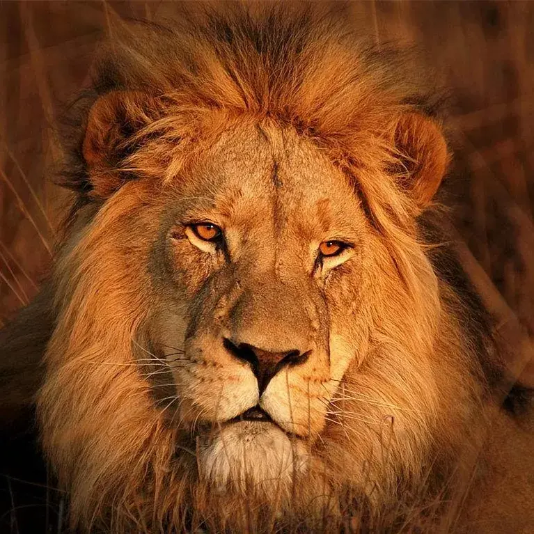 韩国那些愤怒的野兽男演员们