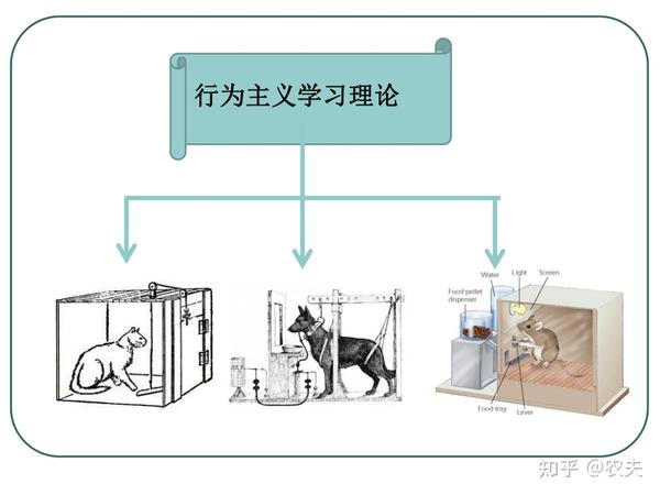 行为主义观点 - 知乎