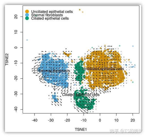 RNA 2 R RNA rna 2 r rna