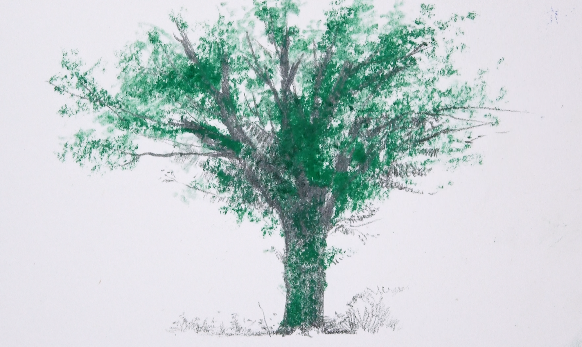 树|纯艺术|钢笔画|艺术爱好者Jam - 原创作品 - 站酷 (ZCOOL)