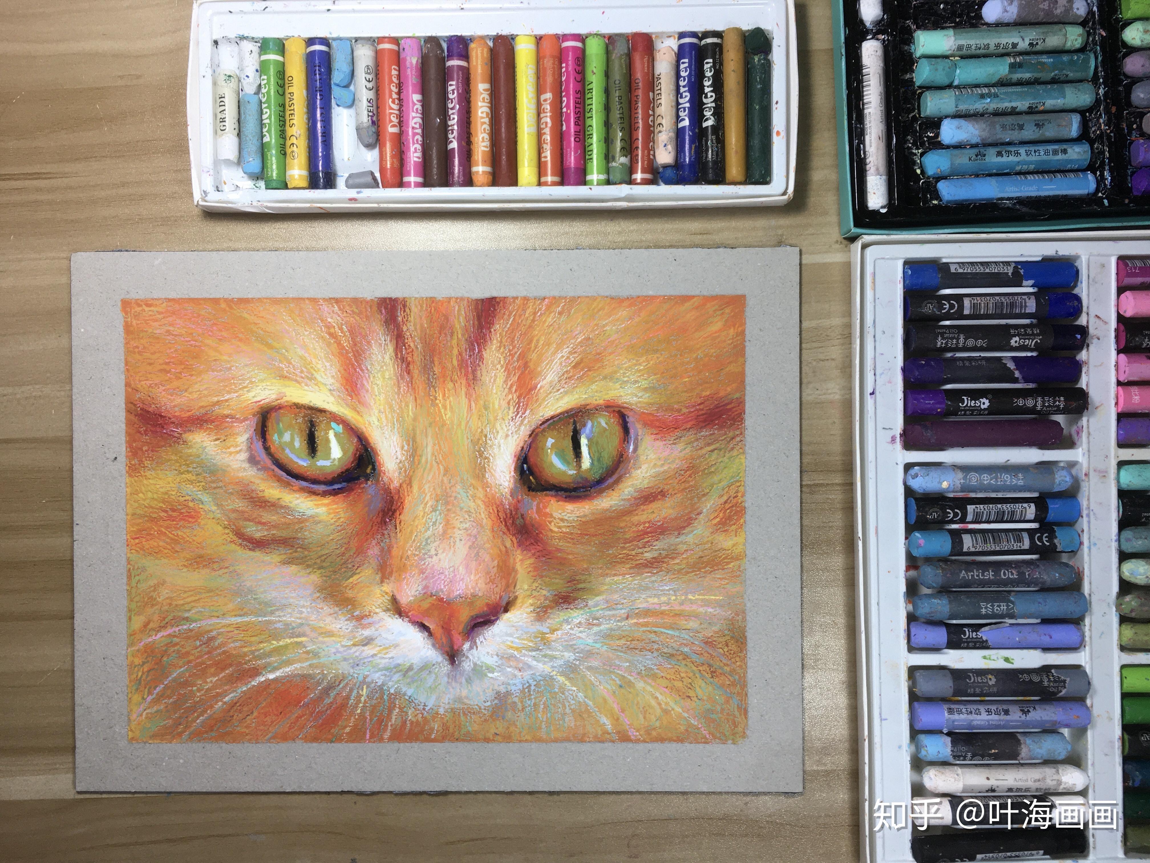 油画棒教程动物类写生手绘之高傲的猫步骤图