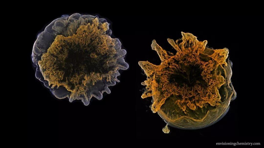 科学摄影微观世界