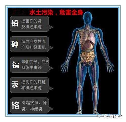 微纳米材料带你远离大铅世界的重污染