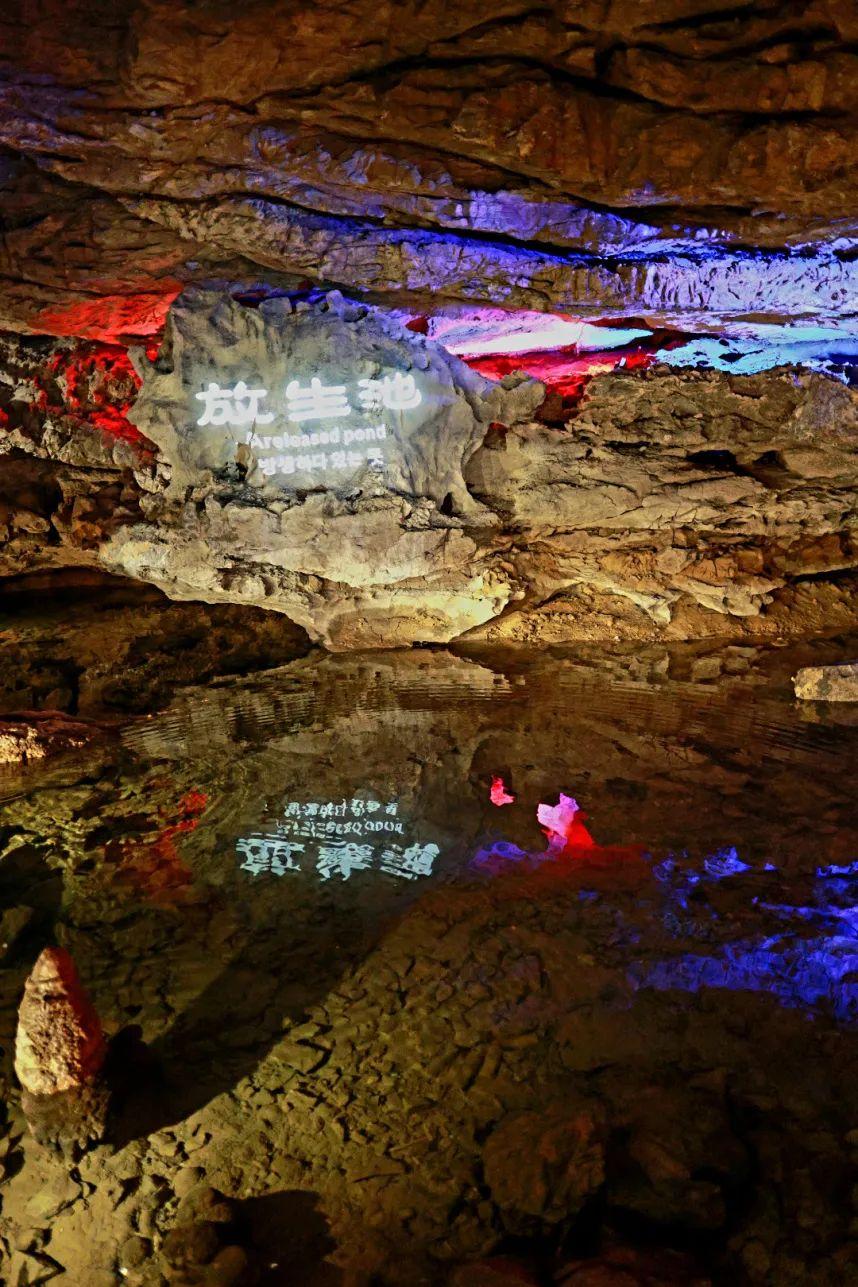 贵州大山里的"地心世界"太迷人