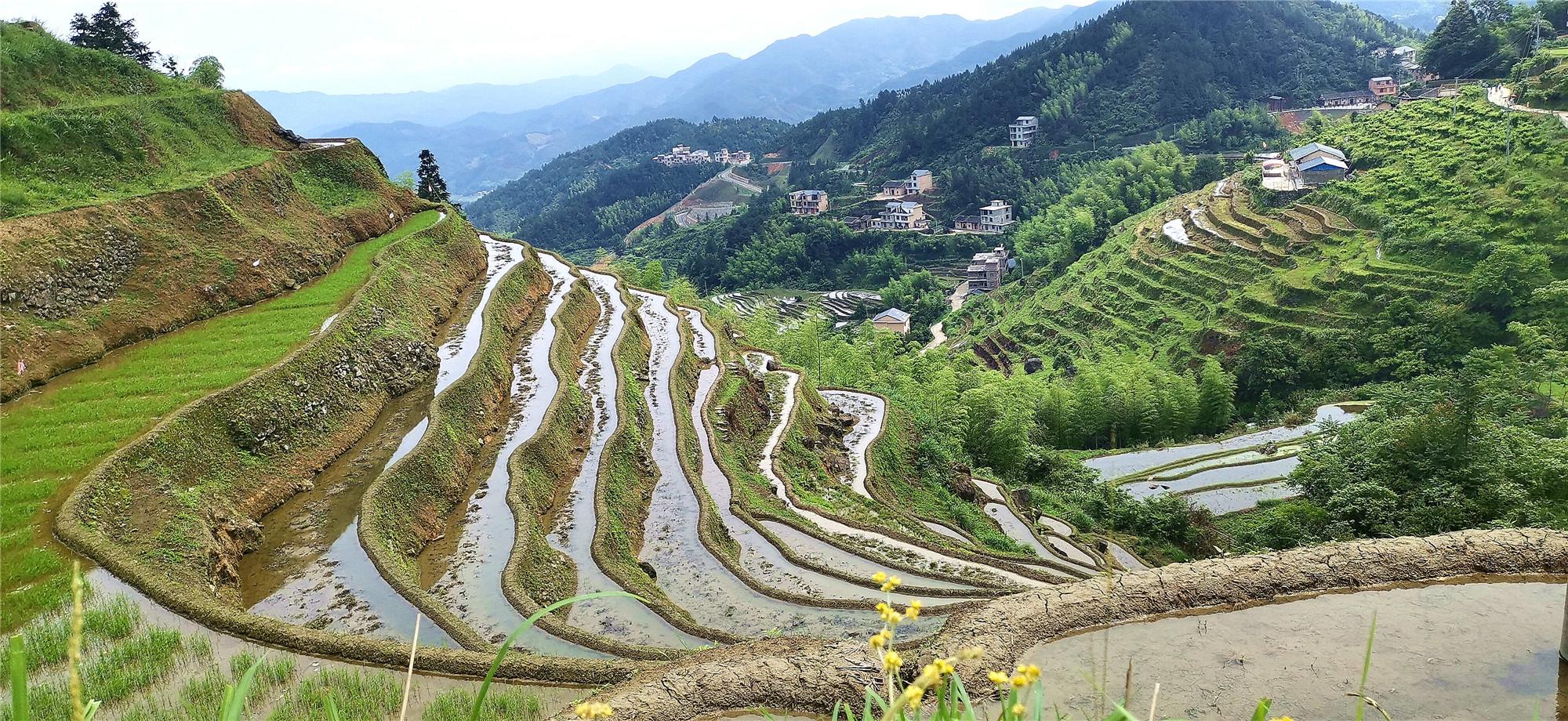 位於江西省吉安市遂川縣左安鎮的桃源梯田風景如畫,吸引了許多遊客前