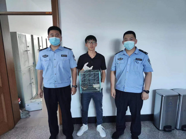 佳木斯市东风公安分局安庆所民警救助国家“三有”保护动物