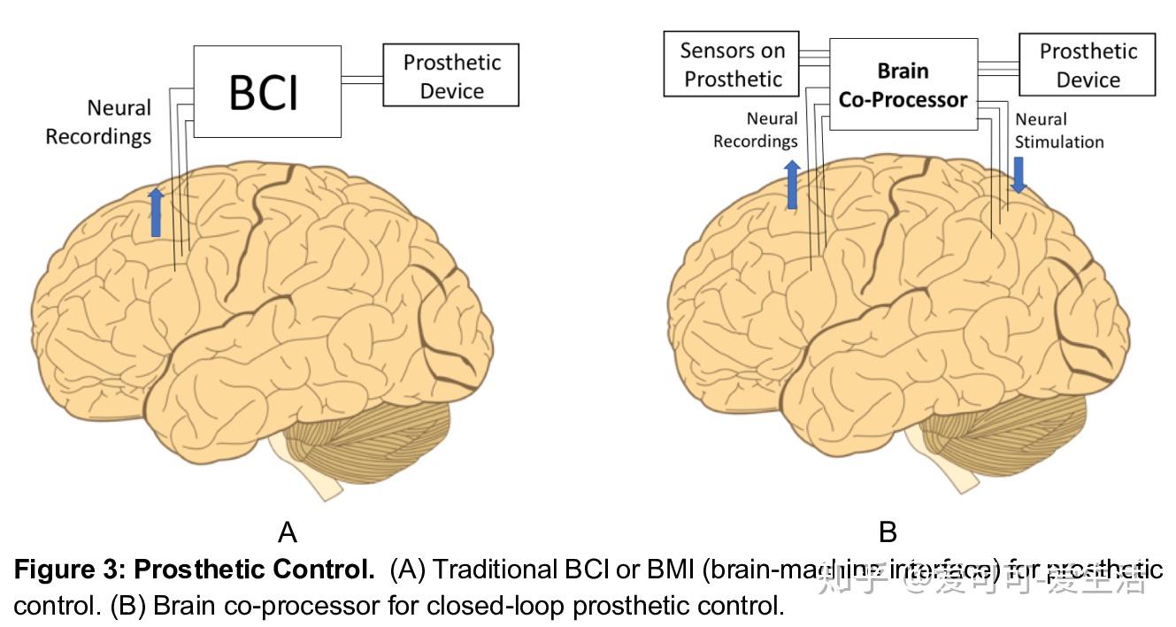algorithms to control prosthetic devices based on brain signals