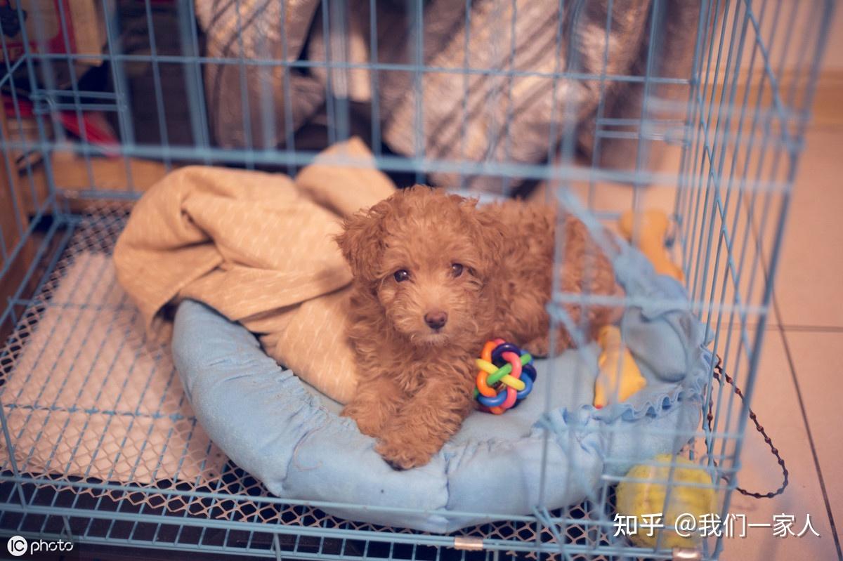 v2-55df28aca2f8c5f3a0ef5242cd128c01_r.jpg