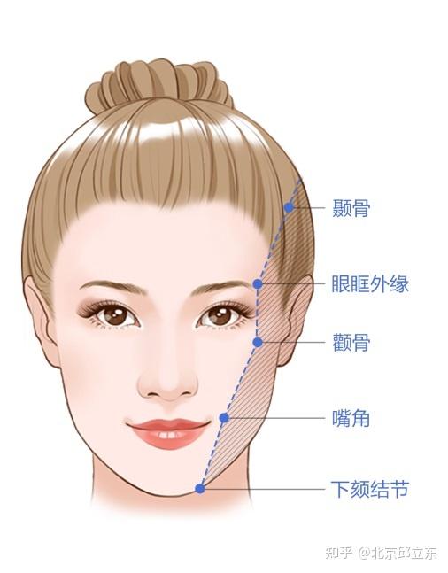 邱立东颌面科普|下颌线在轮廓美学中的重要性 - 知乎