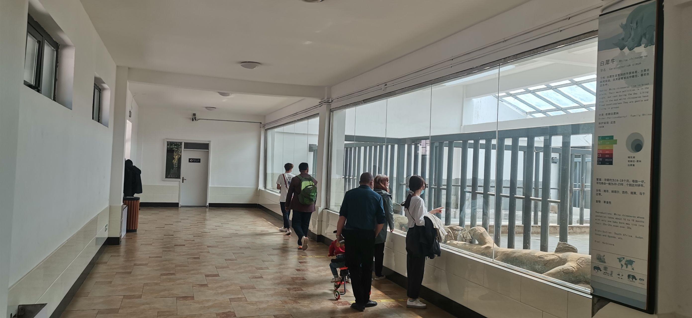 这里是犀牛馆,走廊单边共有两个展牌这个笼舍是空的出口,这个门问题