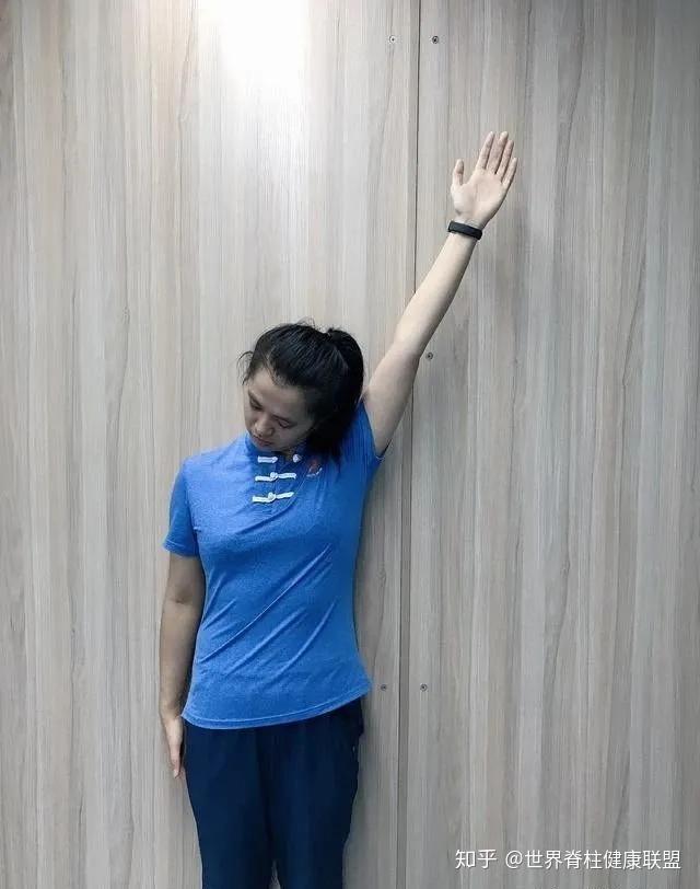 翼状肩胛的人怎么练背 v2-55e631ec952d32125a2974a44b4ee73d_r.jpg