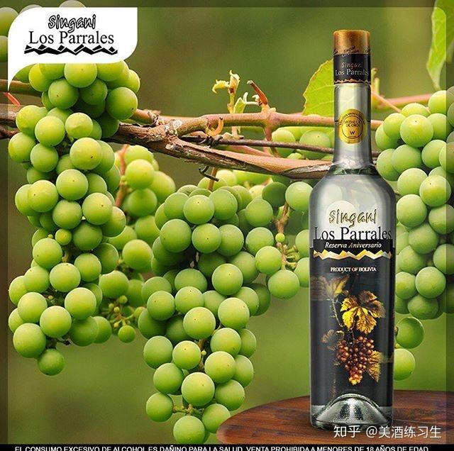 独自聊酒谈谈grappa