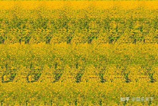 “三维立体图”如何看?网友：小编的方法很管用！ - 知乎