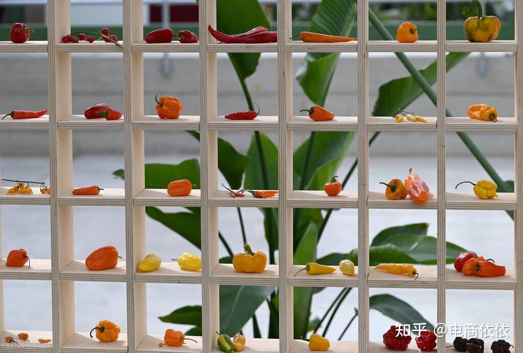 抖音小店商家体验分_抖音的商家体验分_抖音小店商家体验分过低