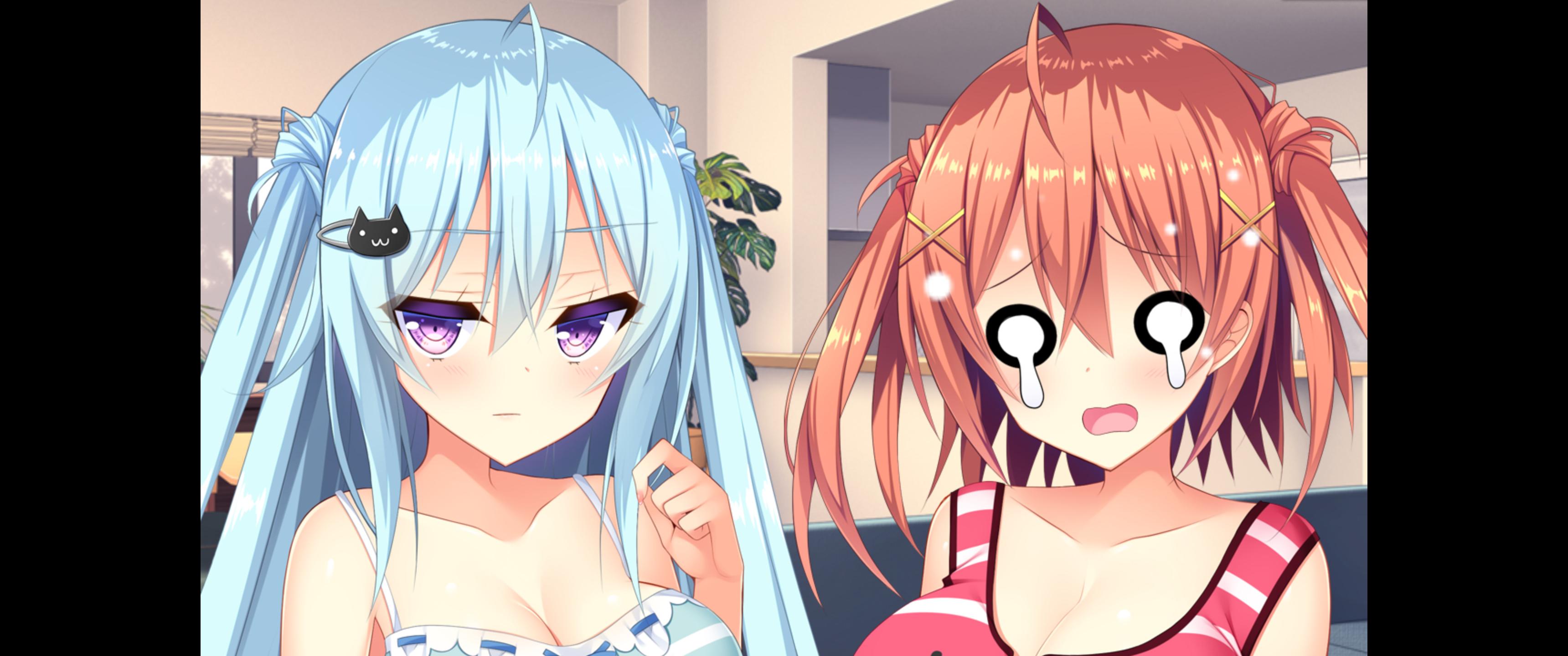 galgame推荐立绘还是稍显生硬了如胶似漆双胞胎