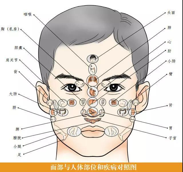面诊（一看就懂，一学就会） - 知乎